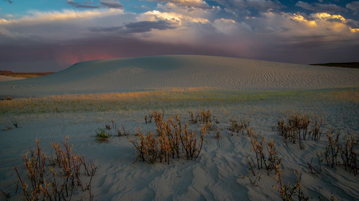 Twilight at Killpecker Sand Dunes in Wyoming.