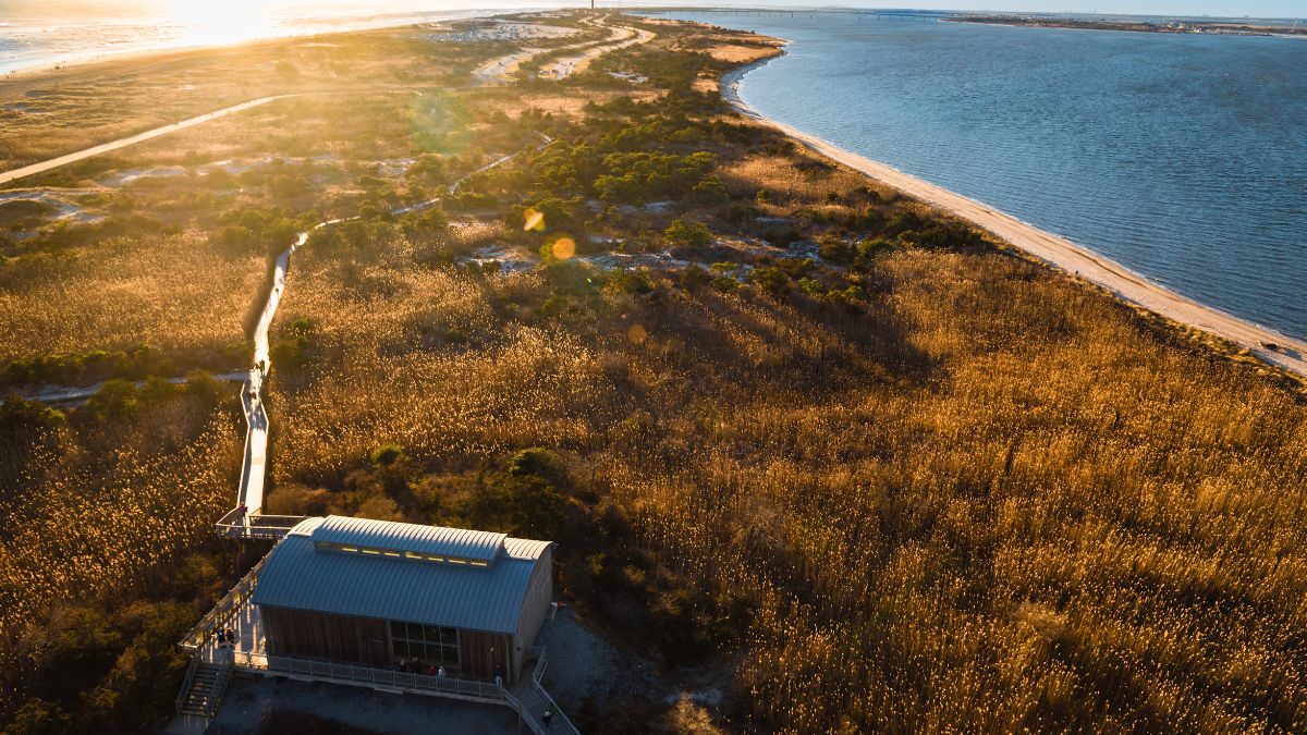A gorgeous view of the Fire Island, New York, with a walking pier in the reeds.
Captured on the top of the historic Fire Island Lighthouse.