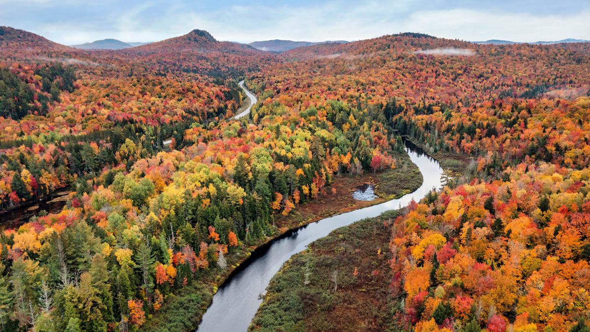 Aerial view of the Bog River near Tupper Lake in Adirondack Park in Upstate New York during fall.