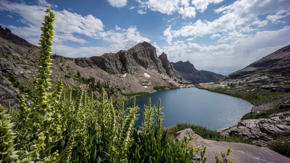 Echo Lake, Ruby Mountains Wilderness, Nevada - Alpine Lake With Jagged Mountain Ridgeline.