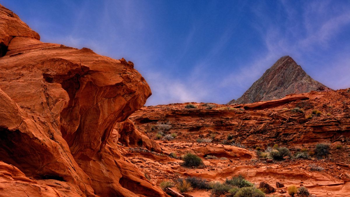 Eroded Red Sandstone Rock in the Bowl of Fire Mojave Desert Nevada.