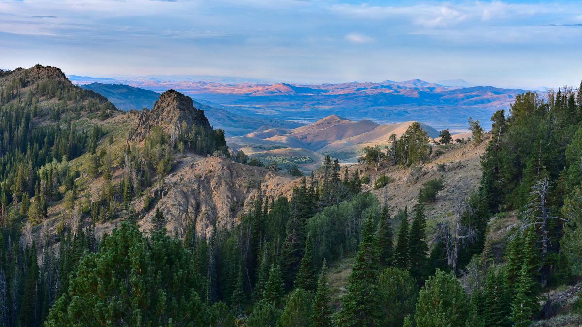 Jarbidge Wilderness, Nevada.