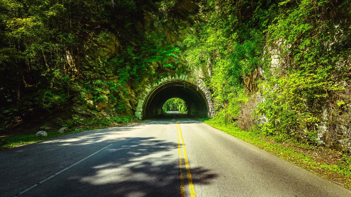 On the way to Cades Cove, Great Smoky Mountains.