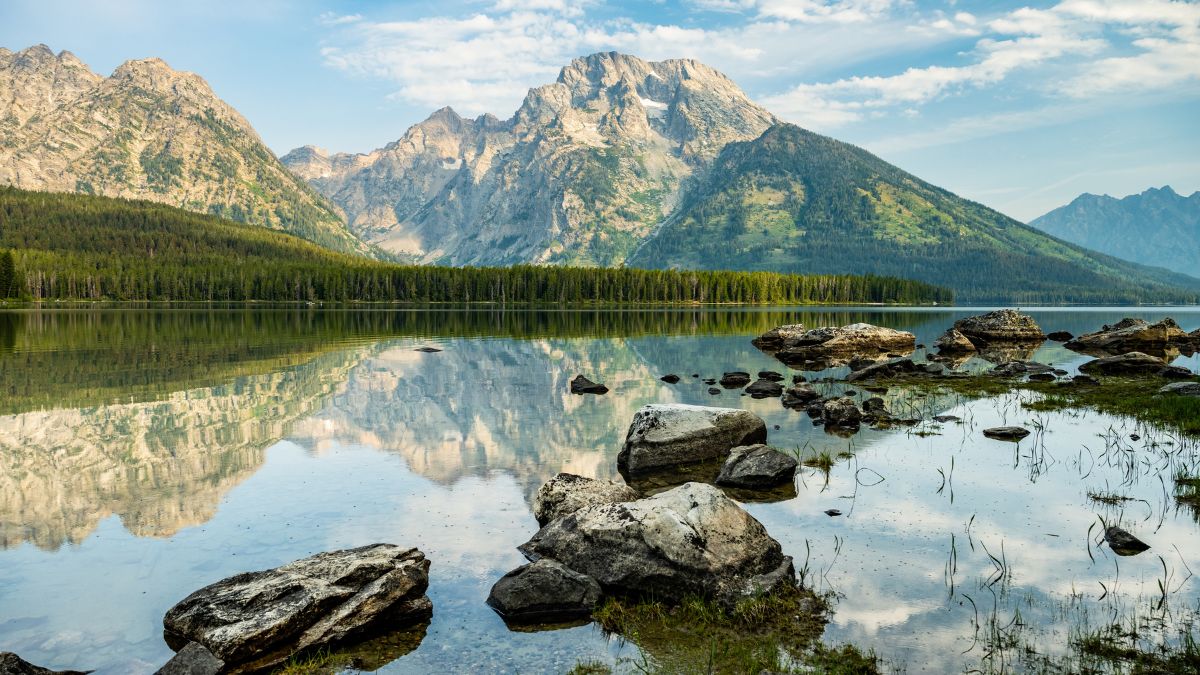 Reflections in Leigh Lake On A Still Summer Morning in Grand Teton National Park.