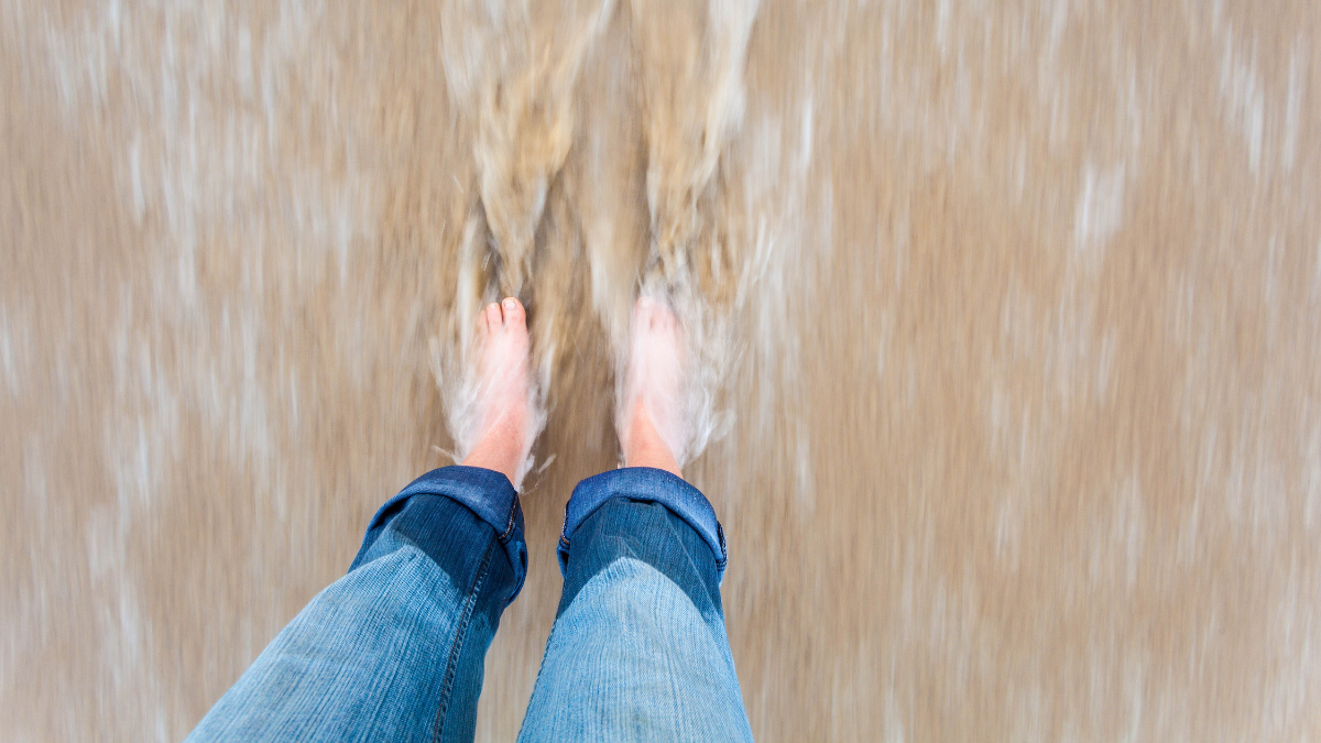 Let’s Get To Know Our Amazing National Seashores and Lakeshores