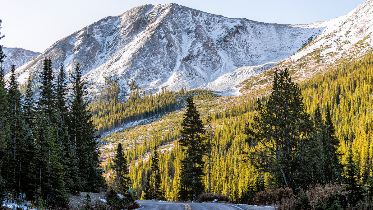 Independence Pass snow rocky mountain view and paved road scenic byway in morning sunrise near Aspen, Colorado in green autumn winter.