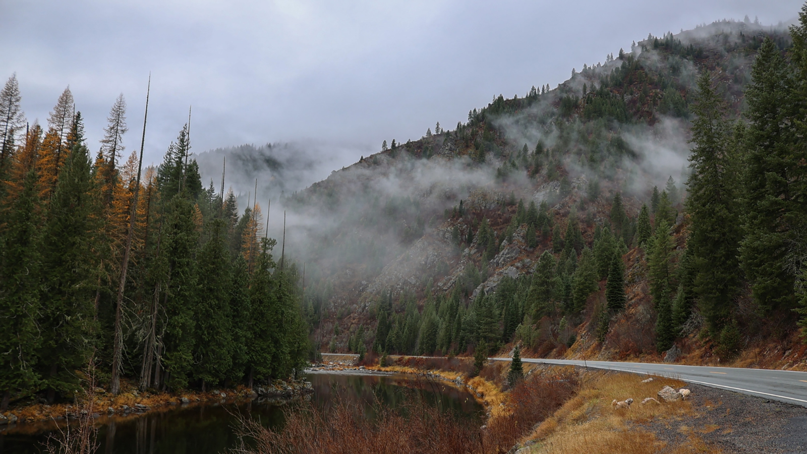 Drone photo of the Lochsaw River along Idaho Highway 12 between Lewiston ID land Missoula MT.