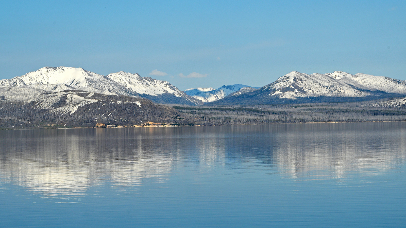 Absaroka Mountains Reflecting In Yellowstone Lake.