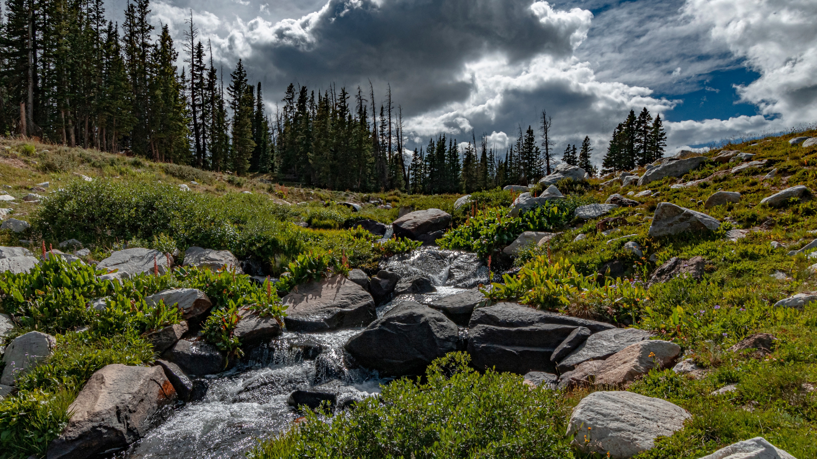 Billowing clouds cover a cascading creek in the Sugarloaf Recreation area of the Medicine Bow National Forest in Albany County, Wyoming.