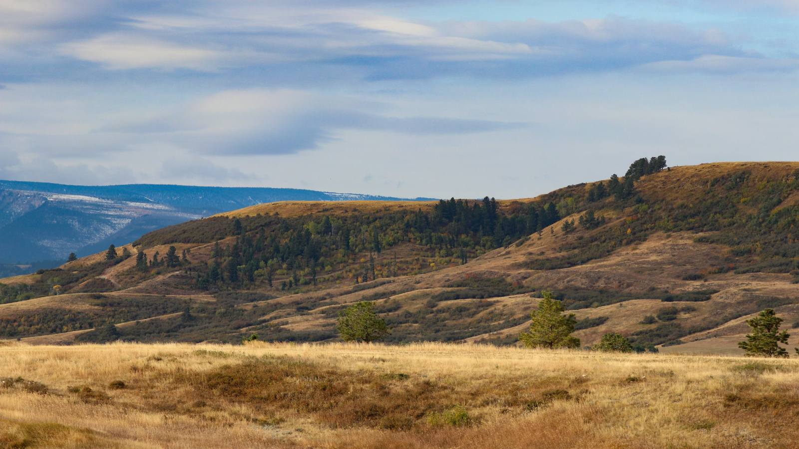 Missouri River breaks.