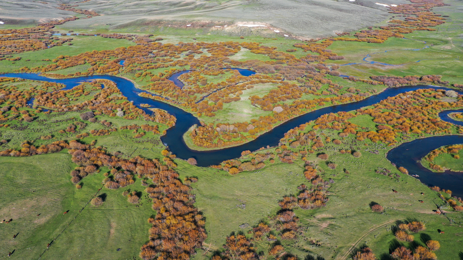 A aerial view of a trout stream in the high country of Wyoming.