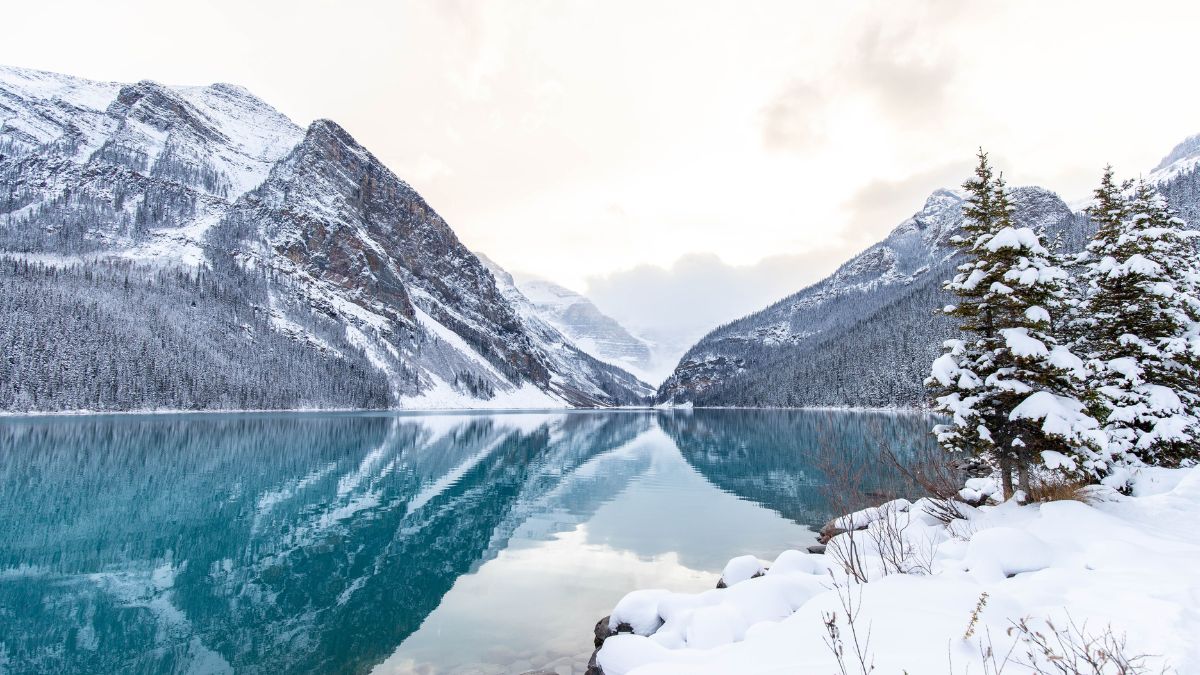 The beautiful view of Lake Louise in winter. Banff National Park, Alberta, Canada.