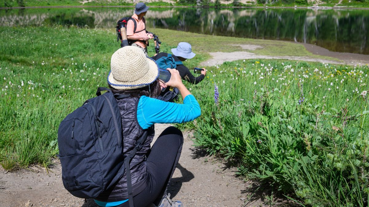 Tourists taking photos of wildflowers by Shadow Lake. Sunrise area. Mount Rainier National Park. Washington State.