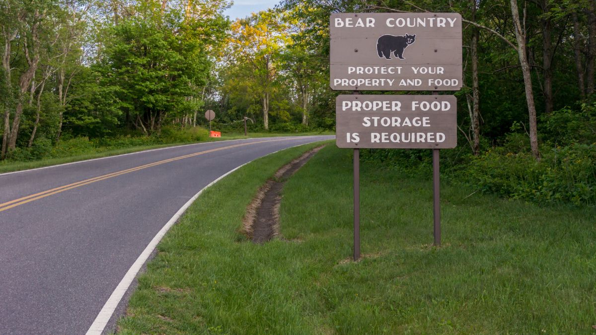 A reminder to campers that black bears are prevalent in Shenandoah National Park.