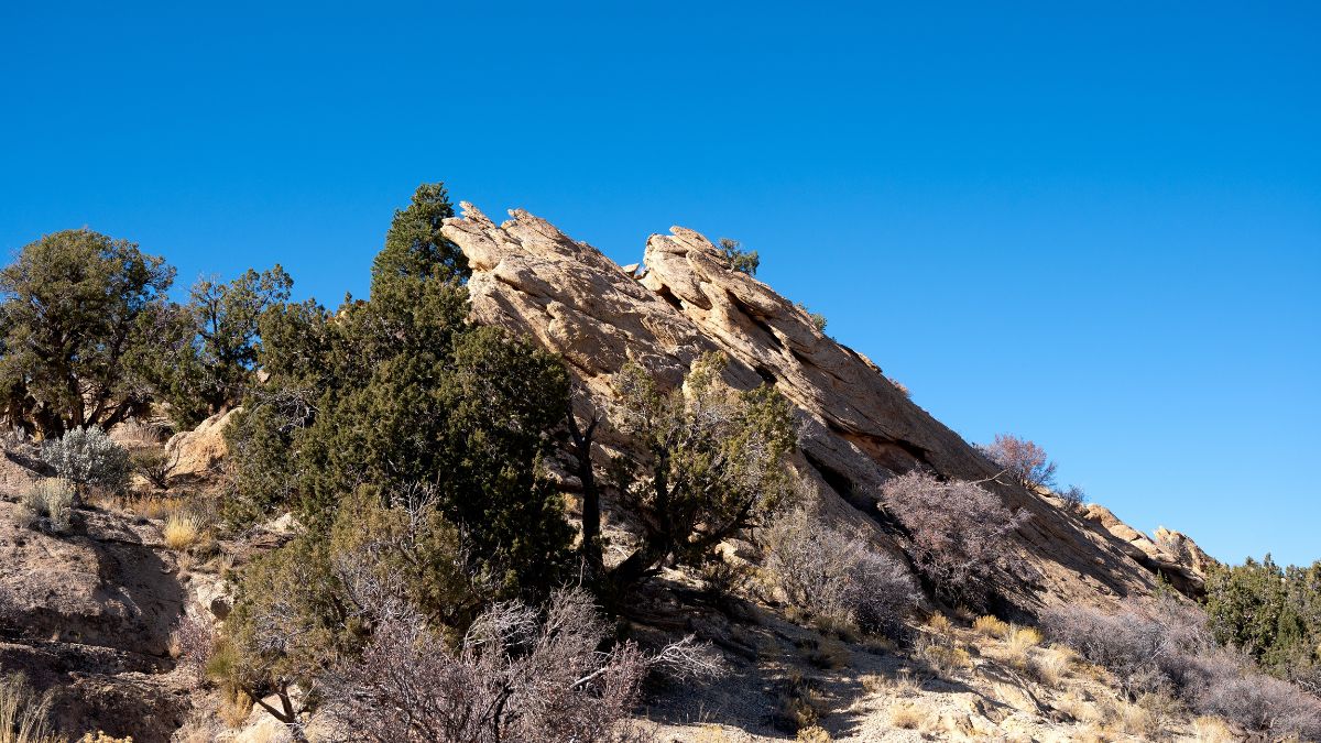 A small thrust fault on the Notom-Bullfrog Road through Capitol Reef National Park.