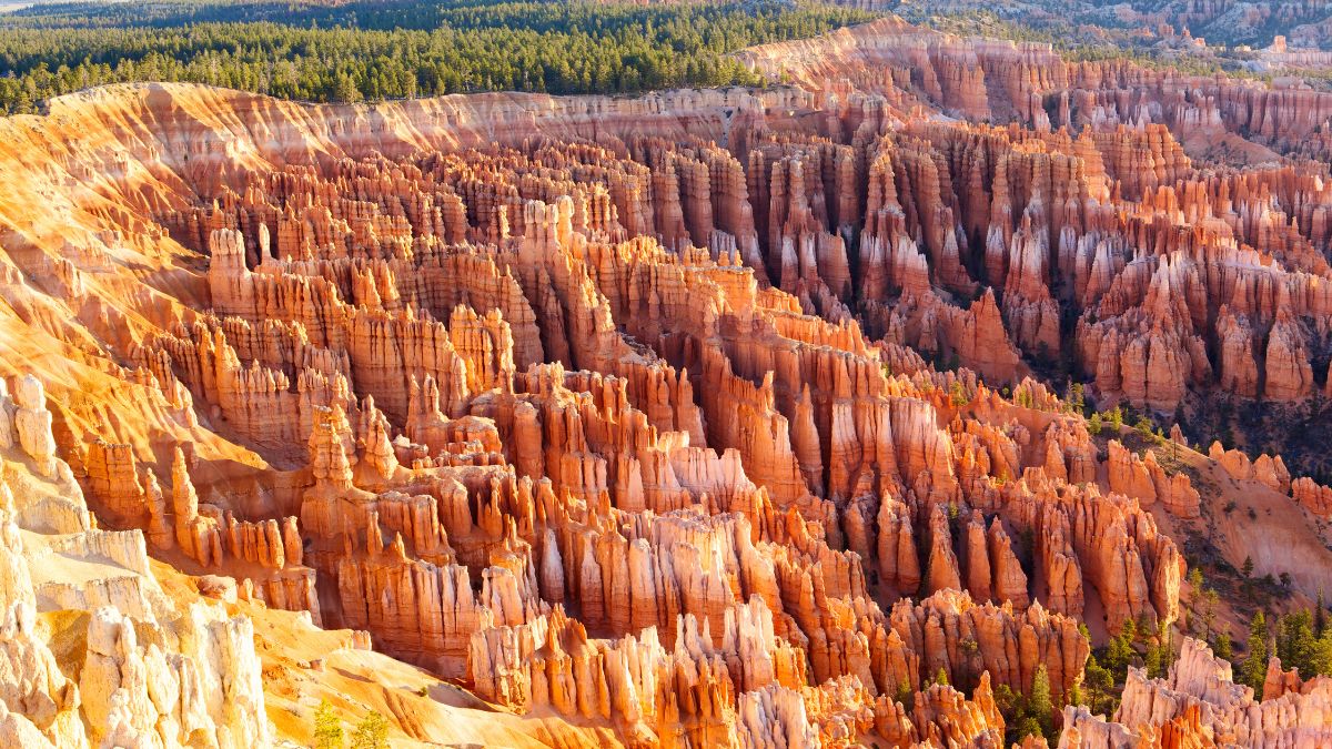 Amphitheater from Inspiration Point at sunrise, Bryce Canyon National Park, Utah, USA.