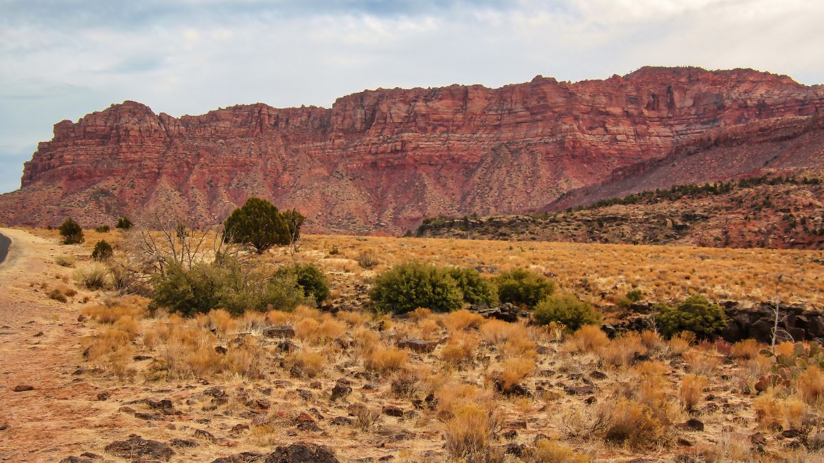 Autumn View Driving Along Kolob Terrace Road Near Virgin Utah.