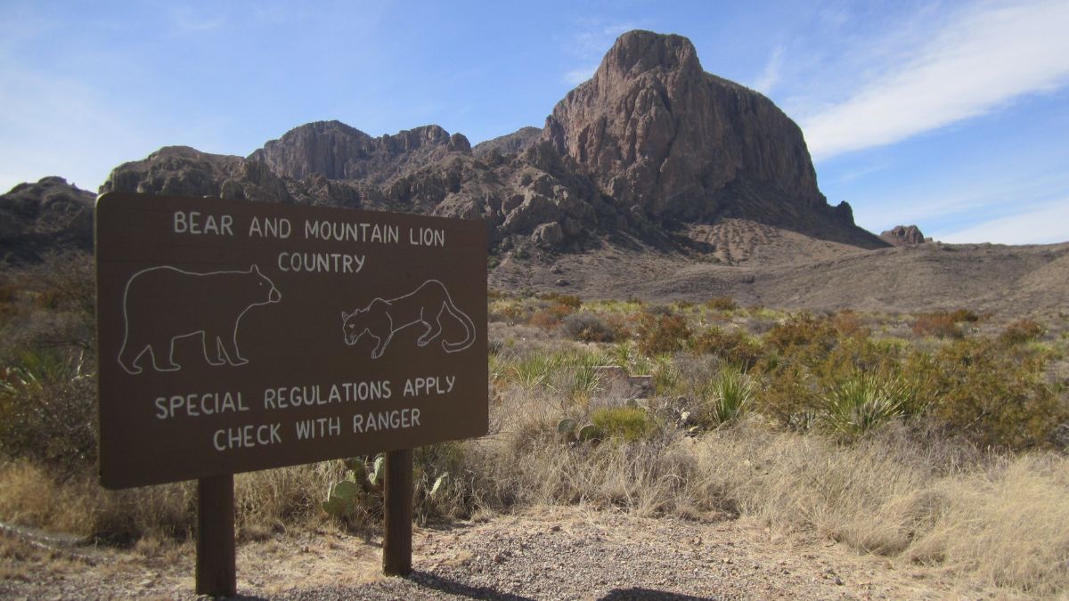 Bear And Mountain Lion Country Warning Sign At National Park Entrance - Desert and Mountains Landscape Background, Big Bend National Park Texas.