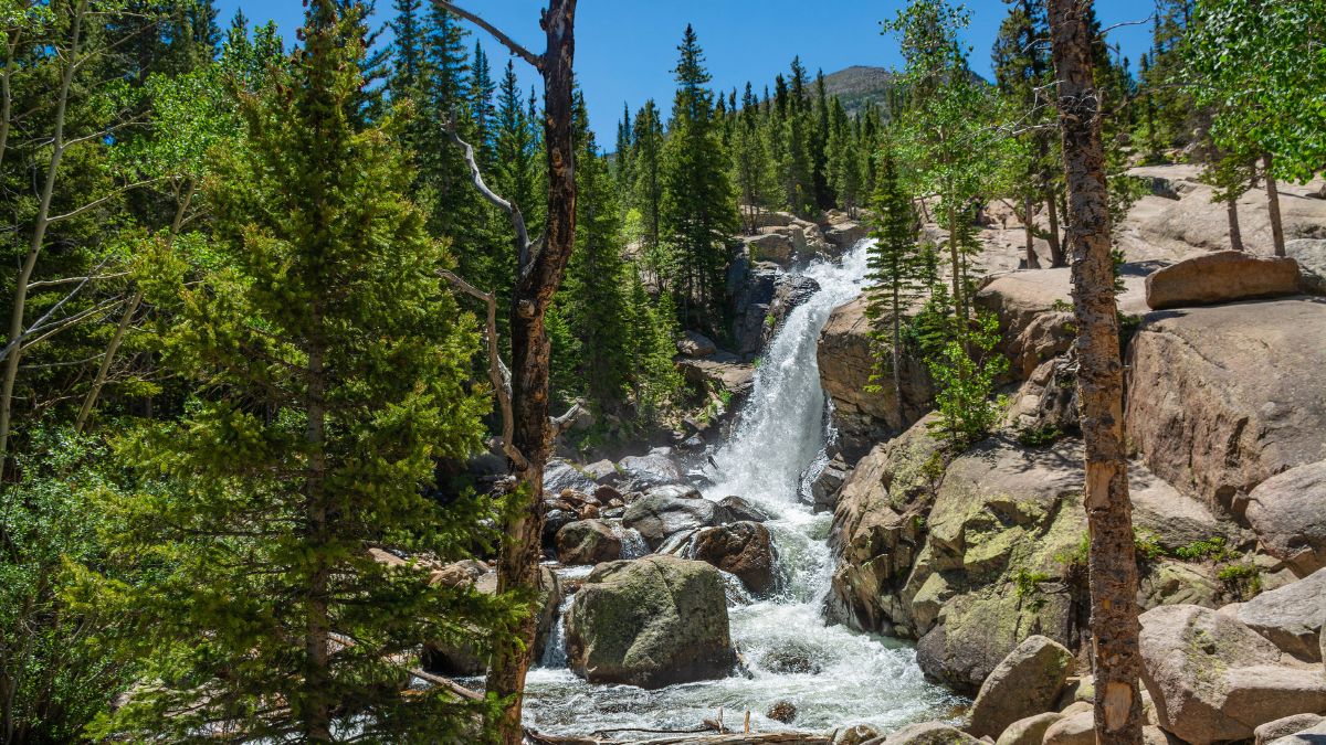 Beautiful Alberta Falls on summer morning. Rocky Mountais National Park, Colorado, USA.