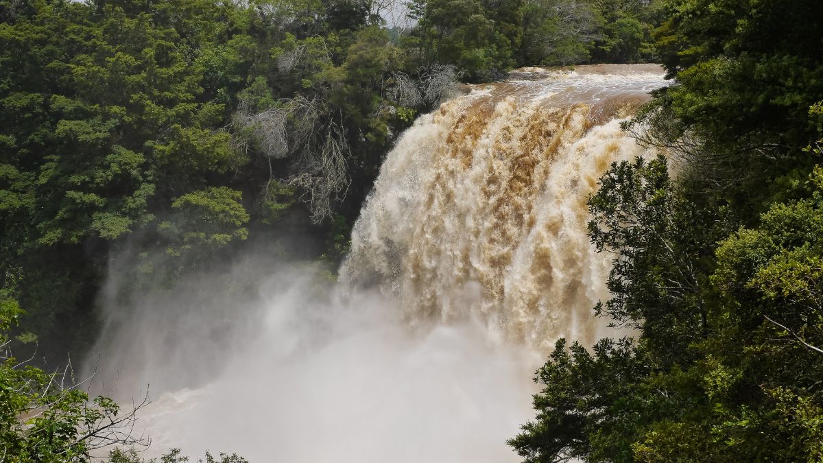 Brown Waterfall - Jungle in New Zealand,