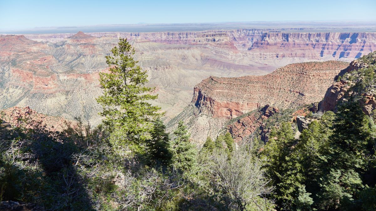 Cape Final Trail at the Grand Canyon North Rim.