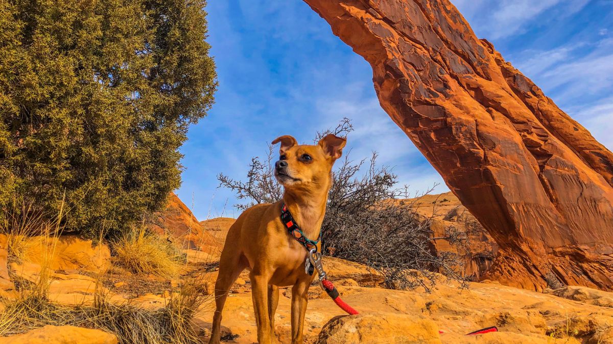 Corona arch, Moab Utah.