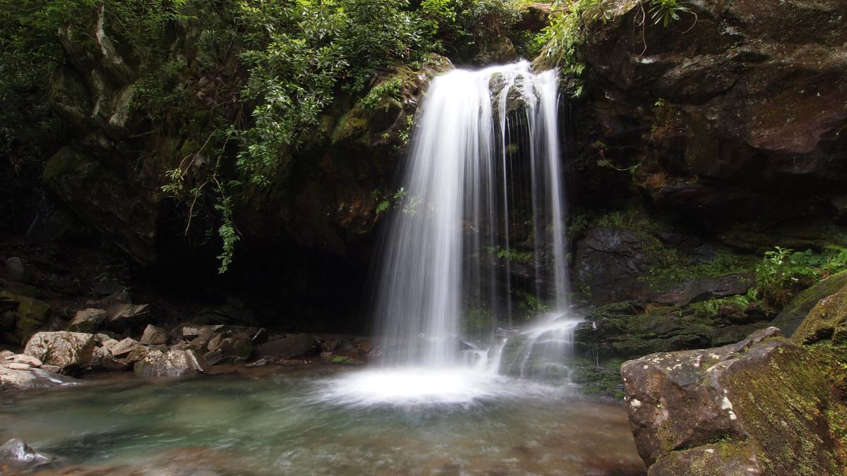 Grotto Falls in early summer in the Great Smoky Mountains National Park, Tennessee.