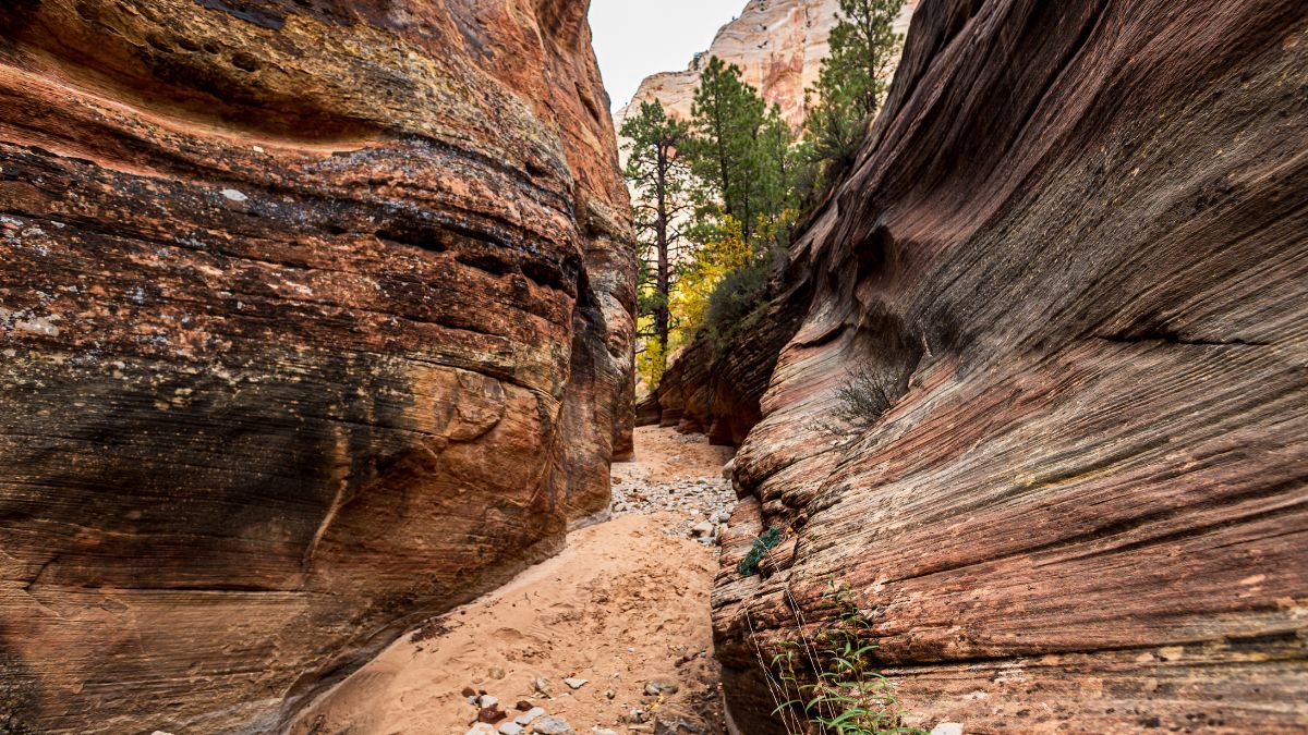 Hiking a slot canyon in the dry Pine Creek at Zion NP.