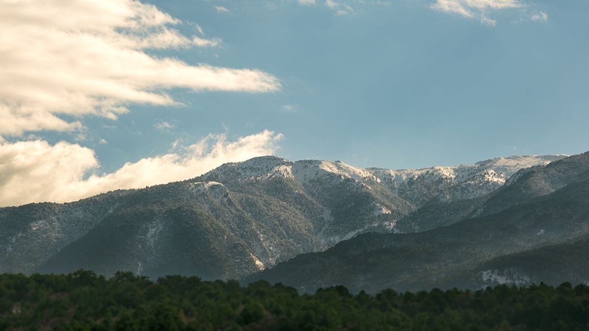 Landscape of Mount Ida with snow and some pine trees on the foreground.