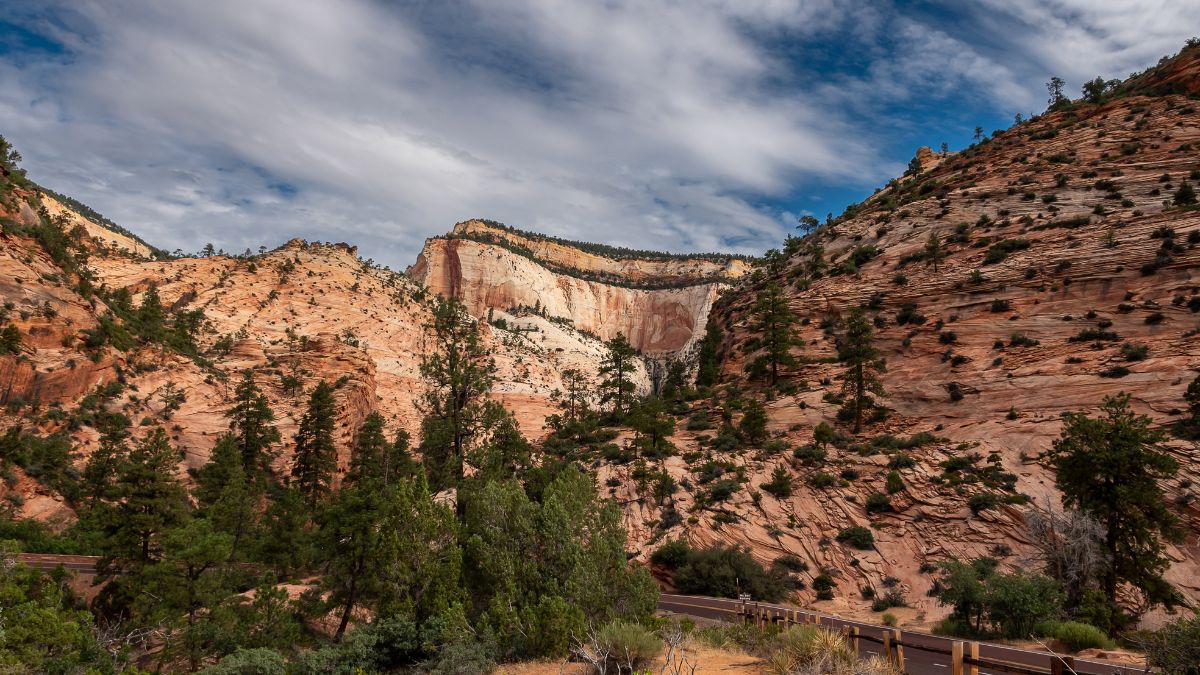 Mountains on the east side of Zion with trees and red rocks.