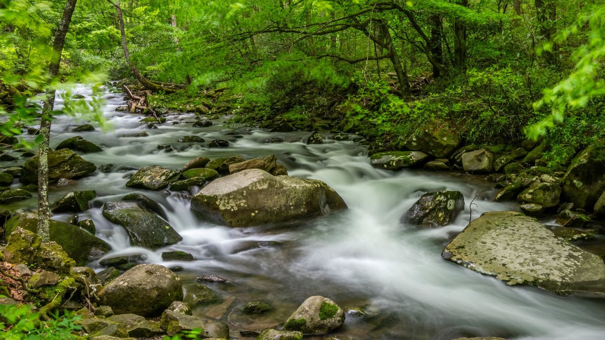 Oconaluftee River along the Newfound Gap Road in the Great Smoky Mountains National Park in North Carolina USA,