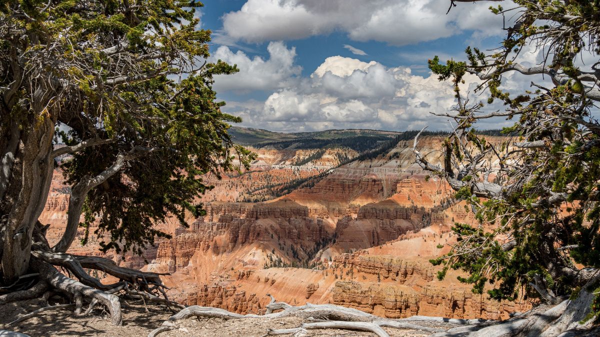 Panoramic view of Cedar Breaks National Monument from the Spectra Point Overlook.