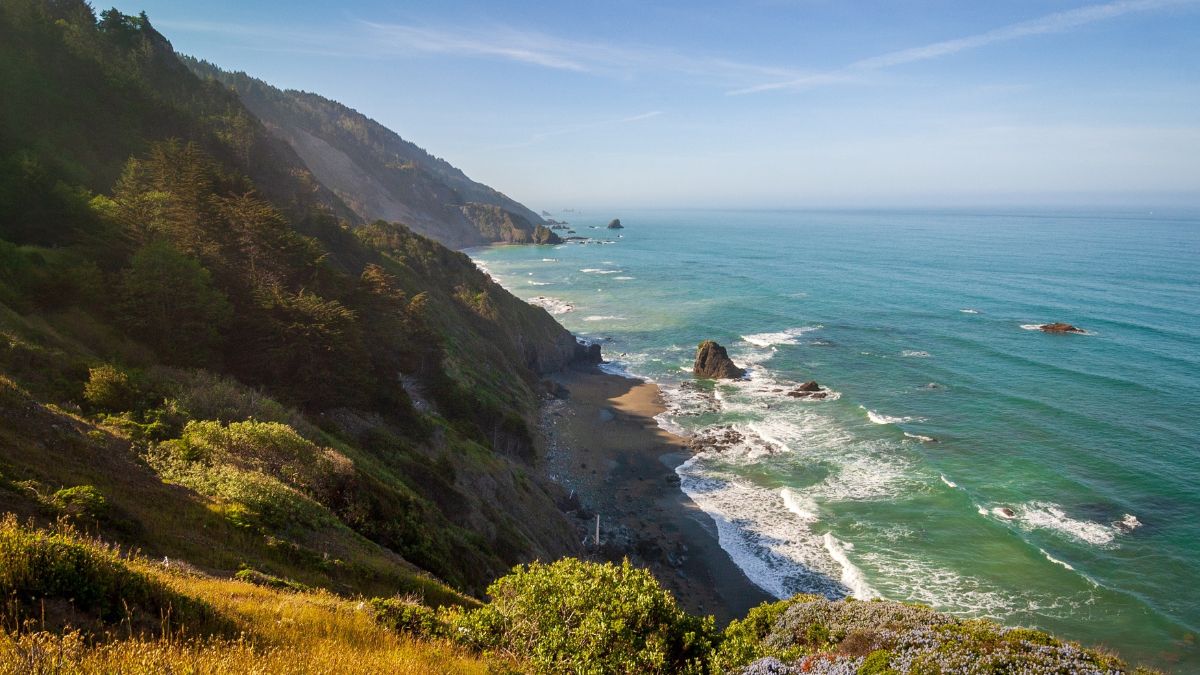 Redwood National Park in California.