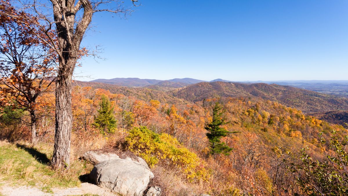 Skyland Fall, Shenandoah National Park, Virginia, VA, USA.