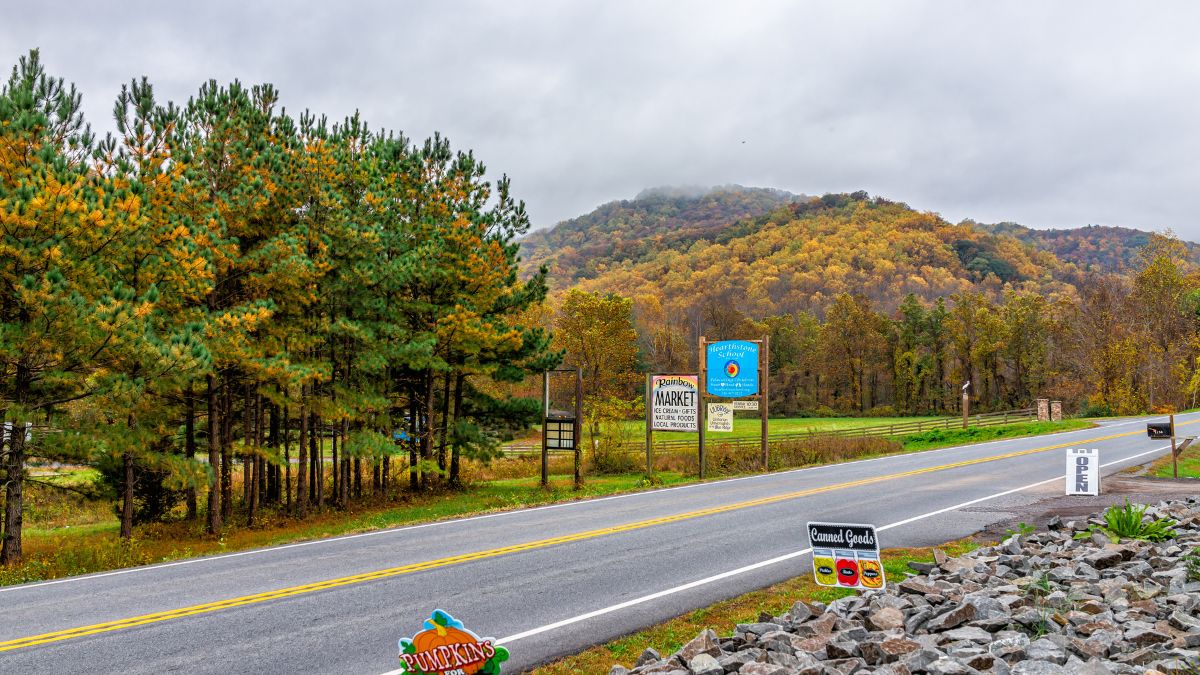 Sperryville, USA - October 27, 2020 Orchard farm signs countryside in Virginia with signage by road highway for produce near Shenandoah National Park.