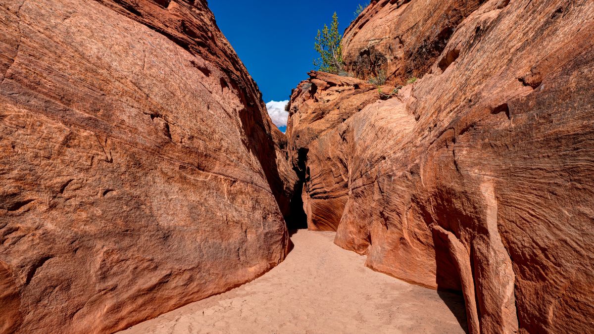 Spooky Gulch. Big Hollow Wash, Utah, USA.
