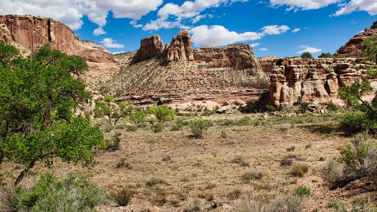 Spring View in the Buckhorn Draw near the Buckhorn Panel, San Rafael Swell in Central Utah.