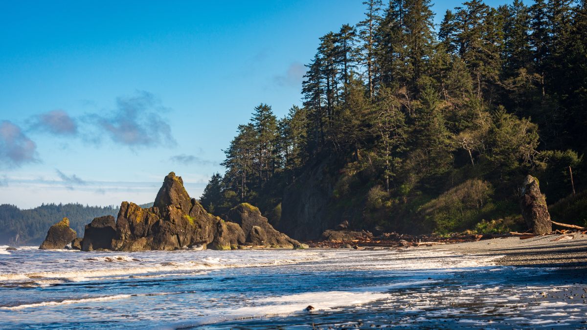 The Coastline at Ruby Beach in Olympic National Park, Washington State, USA.