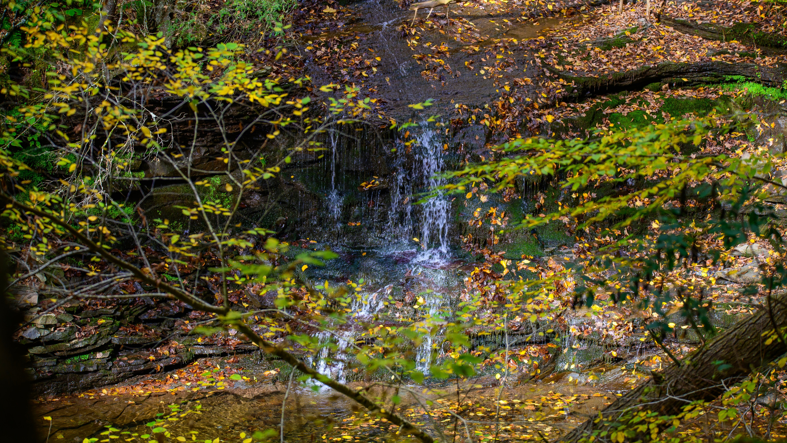 A Waterfall on the Four Mile Run Creek by the Turkey Path Trail in Leonard Harrison State Park, in Watson Township, Pennsylvania.