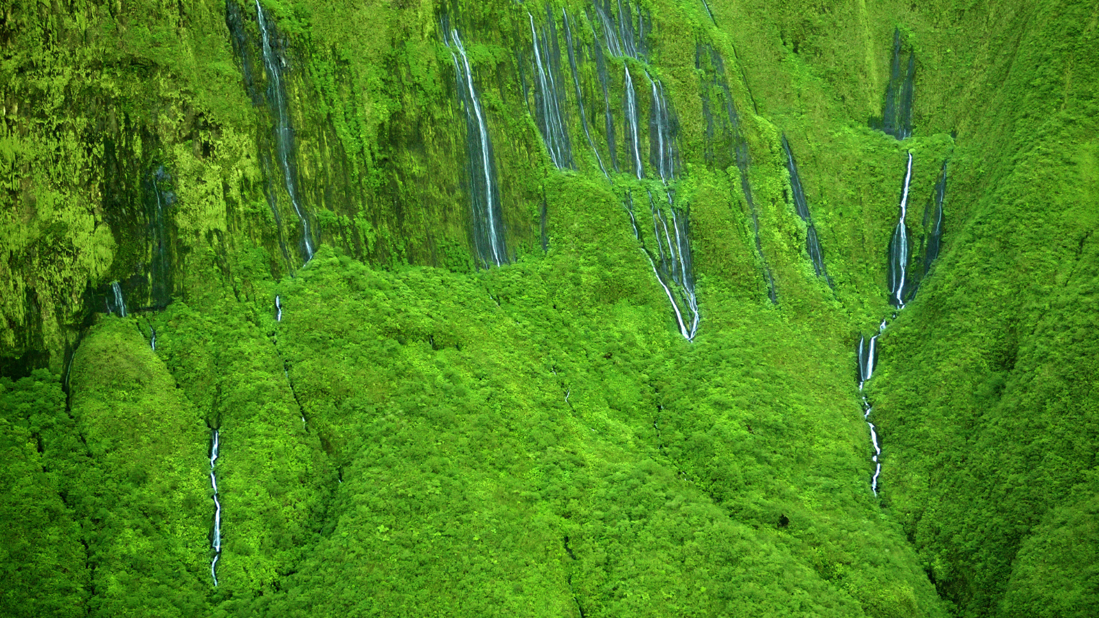 The 'Wall of Tears'  has over 17 waterfalls flowing at once - Maui, Hawaii.