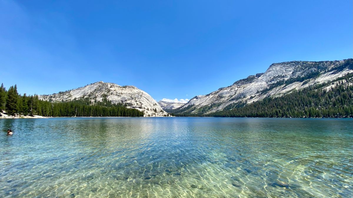 The Tenaya Lake Yosemite National Park.