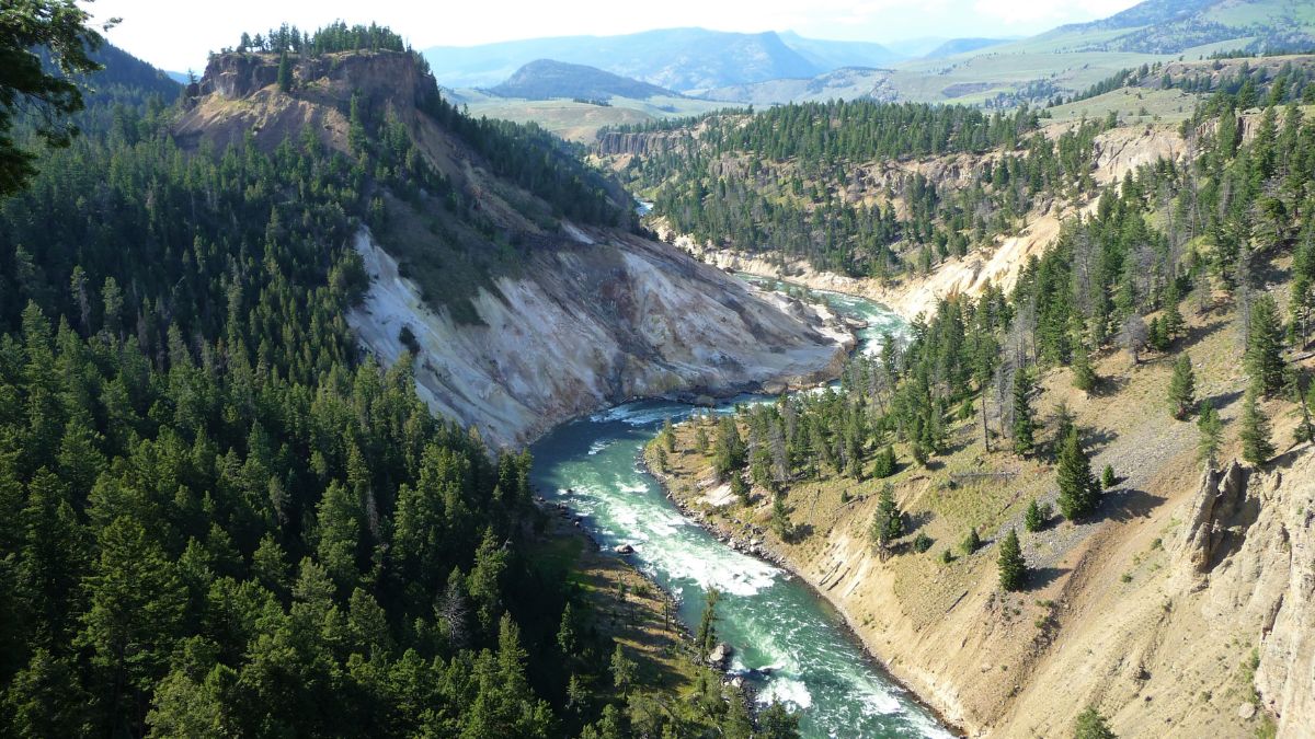 Tower Junction in Yellowstone National Park.