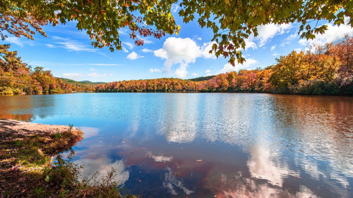View of Price Lake in Julian Price Park on Blue Ridge Parkway near Blowing Rock, North Carolina in fall season.