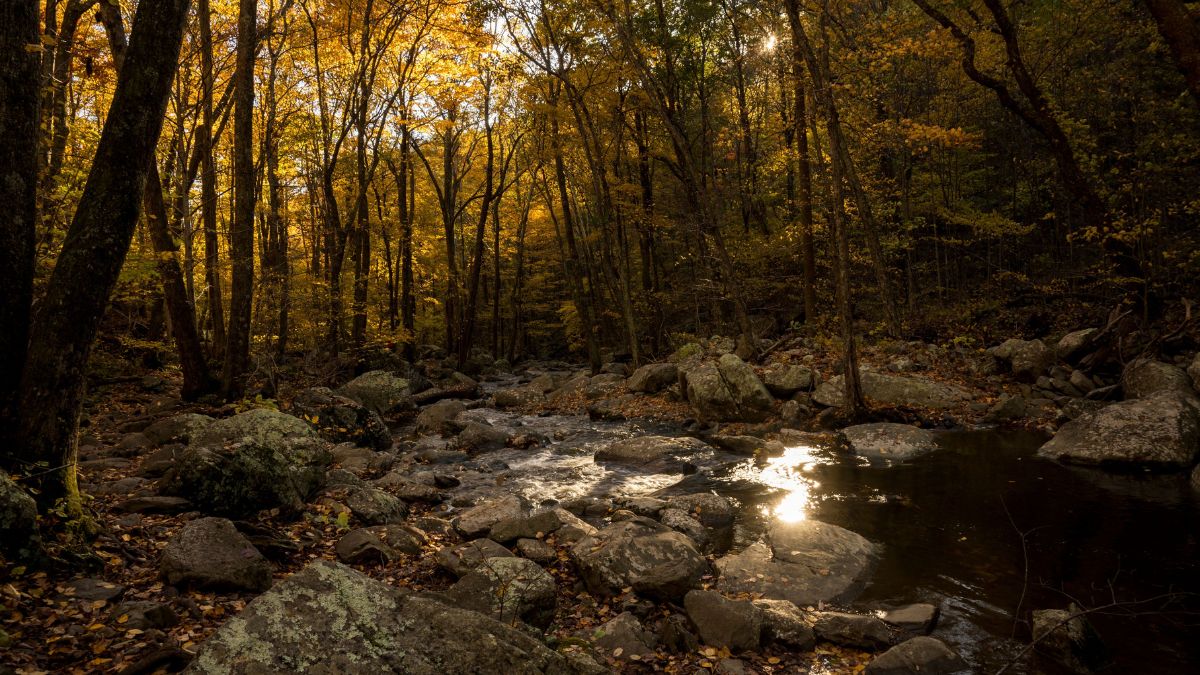 White Oak Canyon Trail during the Fall.