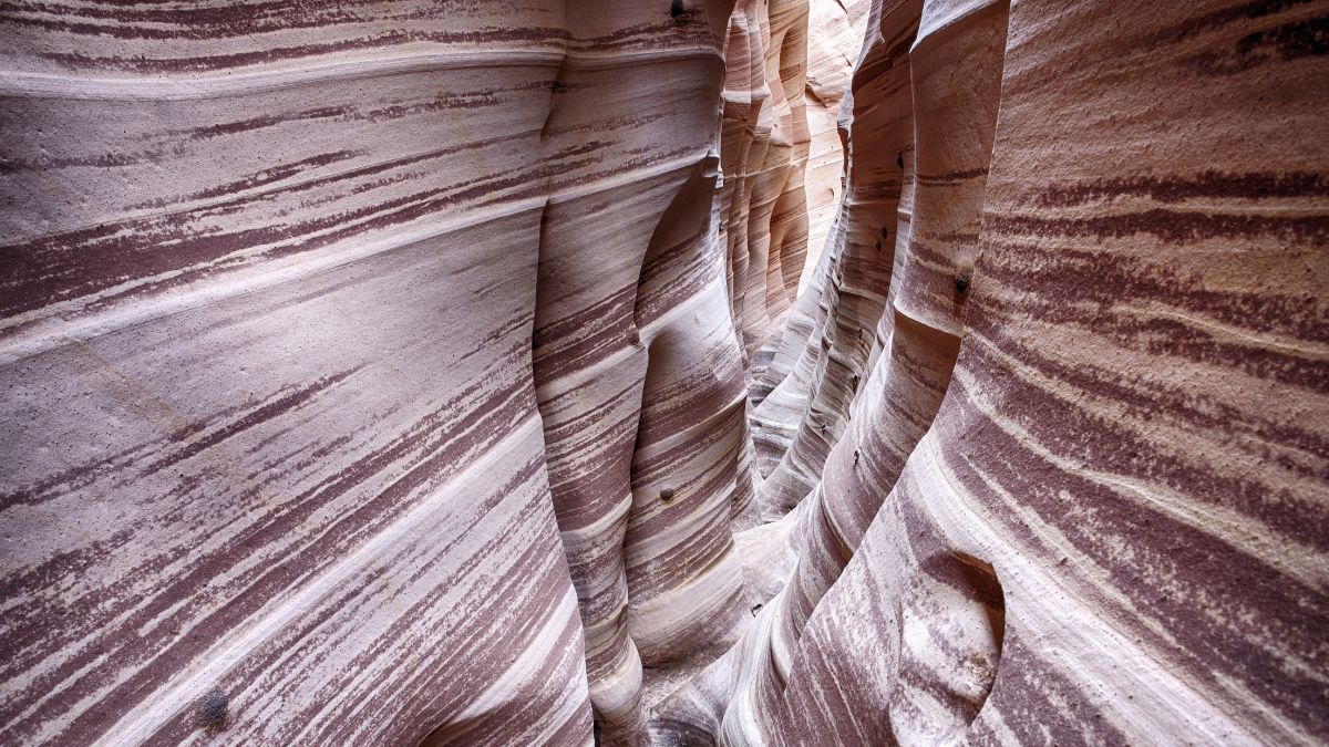 Zebra Canyon is a vivid striped and very narrow gorge. The awsome zig-zag shapes were created by water. Grand Staircase-Escalante National Monument, Utah. USA.