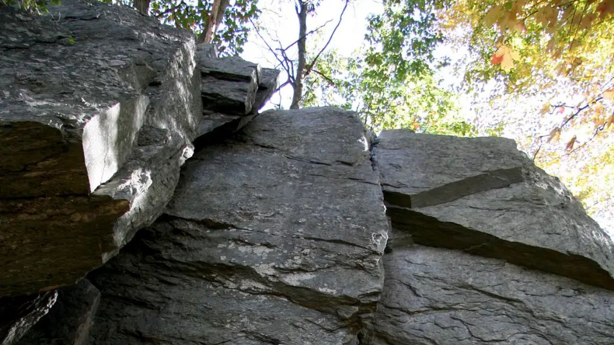 Carderock-- Jungle Cliff-- Sterling's Crack (5.7) and Neighbors.