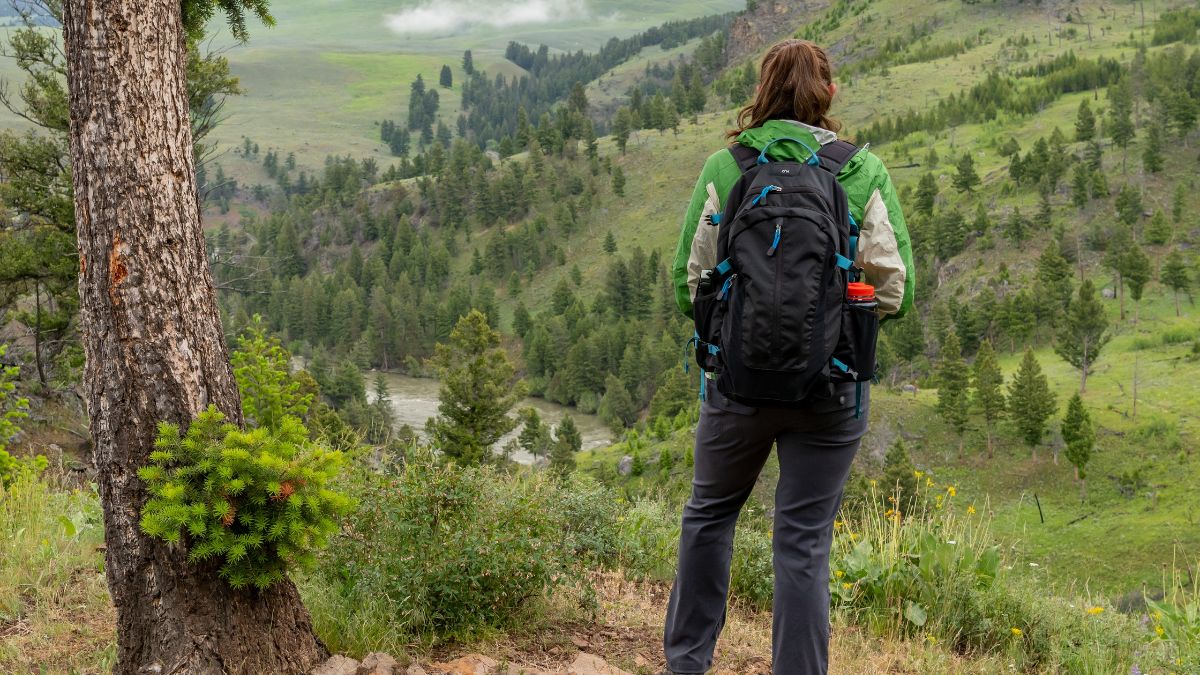 Female Backpacker Looks Out Over Yellowstone wilderness.