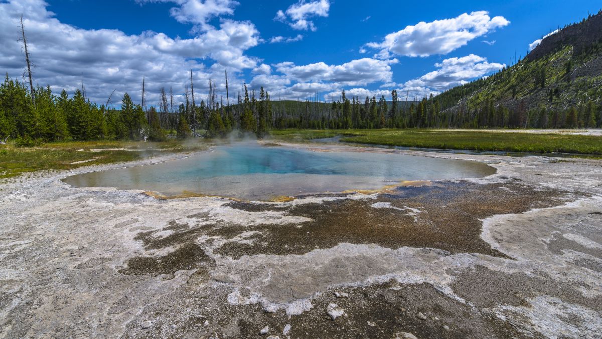 Green Spring, Black Sand Basin, southwestern Upper Geyser Basin, Yellowstone.