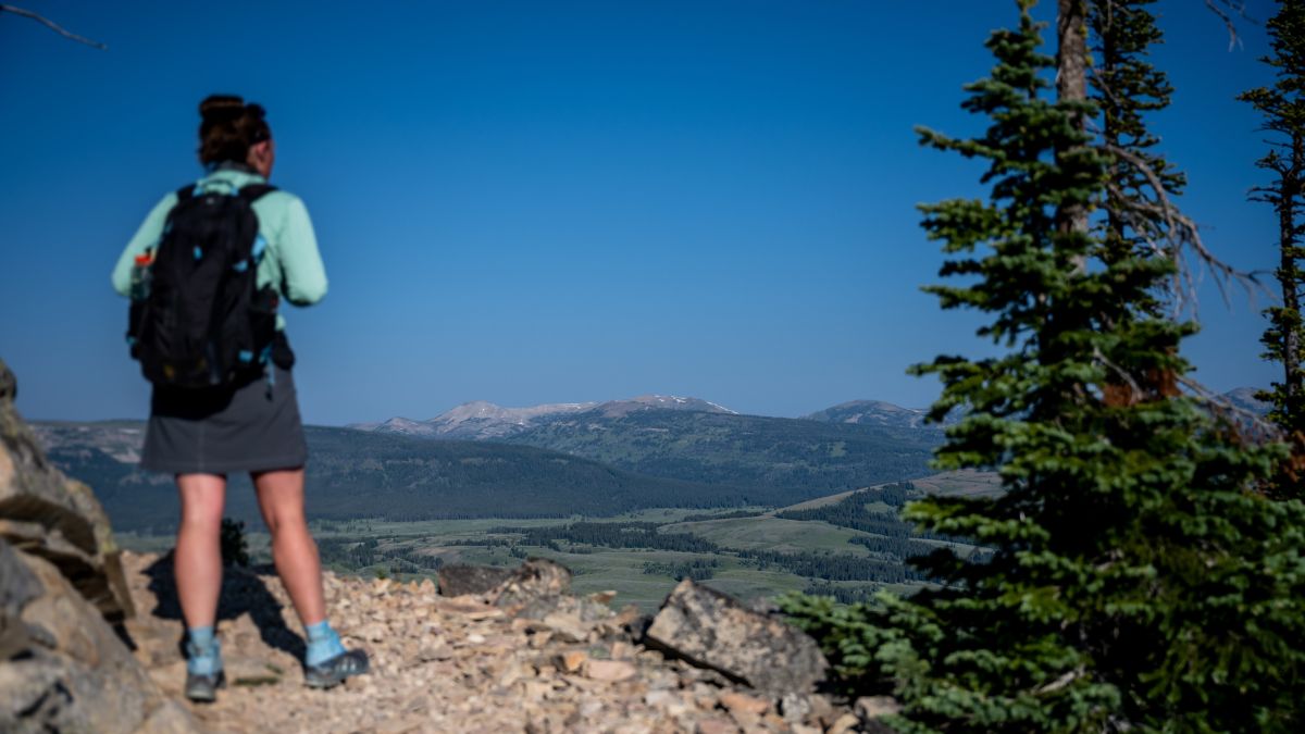 Looking Out to Yellowstone Valley past Brunette Hiker.
