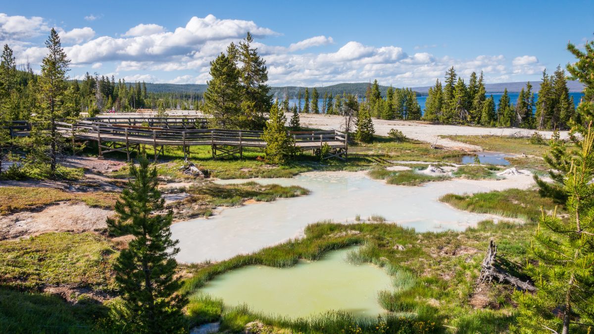 The West Thumb Geyser Basin at Yellowstone National Park.